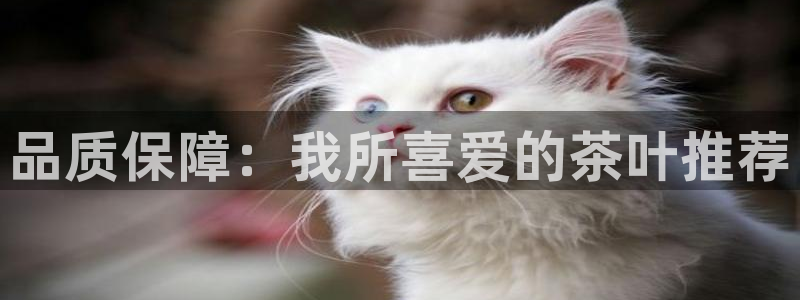 下载彩名堂预测计划软件安全吗