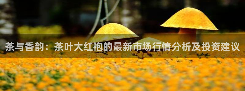 彩名堂免费计划官网50