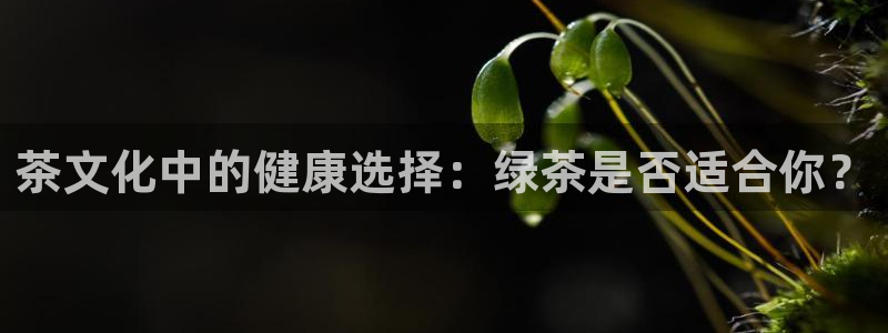 彩名堂官方平台
