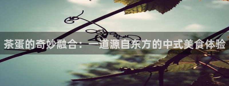 彩名堂5.0版计划怎么用不了