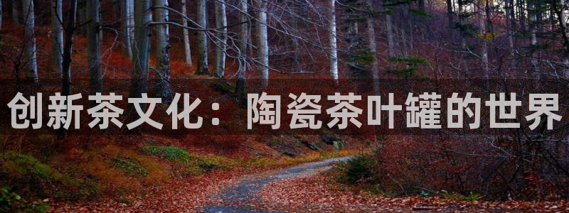 彩名堂怎么跟计划才不连挂在一起
