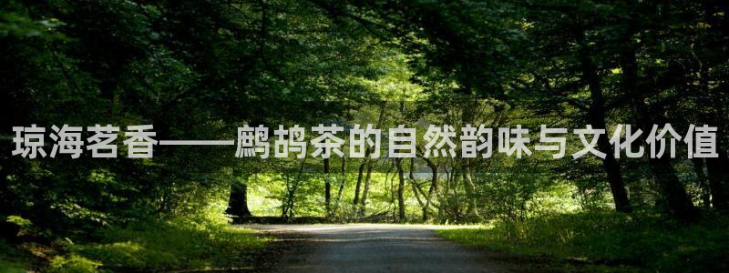 彩名堂5.0版计划怎么用不了