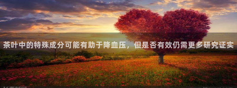 彩名堂官方软件下载