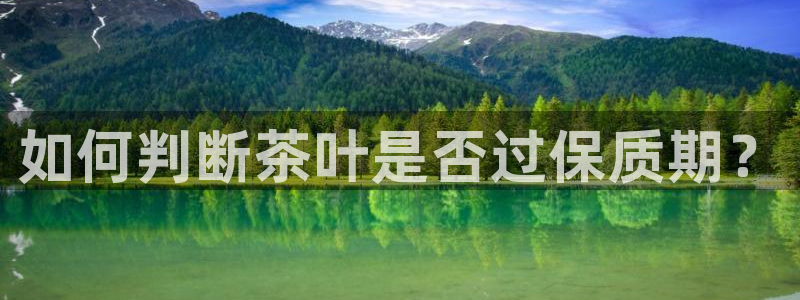 最新彩名堂计划