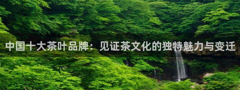 彩名堂怎么打不开了