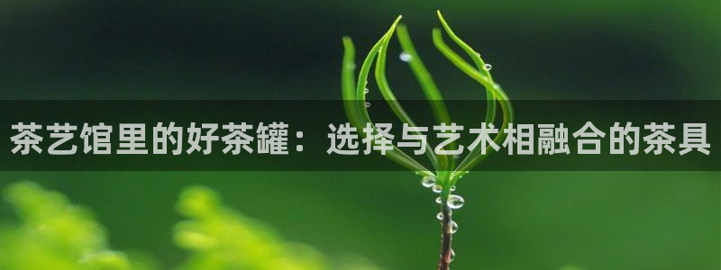 彩名堂计划怎么出的