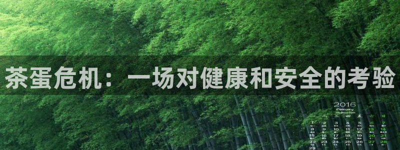彩名堂免费计划官网购彩计划