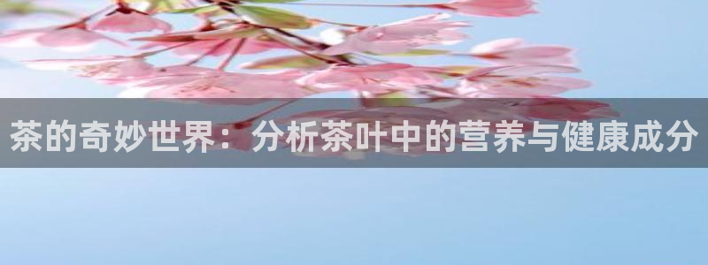 彩名堂在线下载