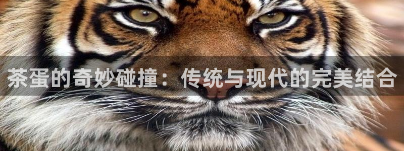 彩名堂免费计划官网怎么进不去了呢