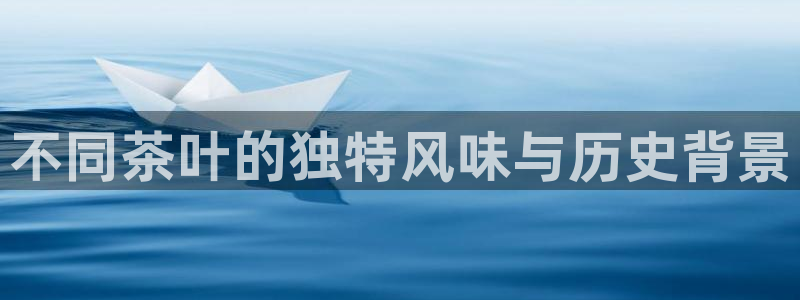 彩名堂免费计划亮点
