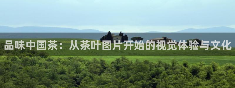 彩名堂计划怎么跟不挂