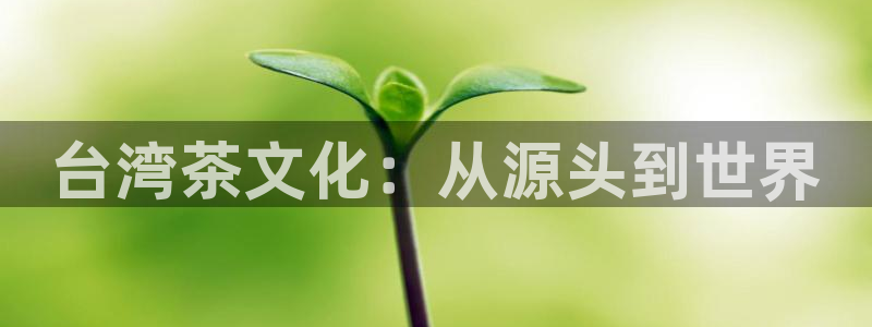 彩名堂免费计划官网购彩计划