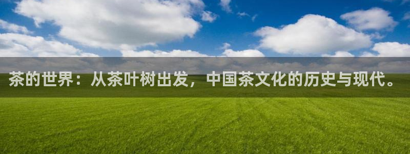 彩名堂首页