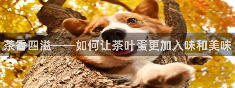 彩名堂官网计划客户端