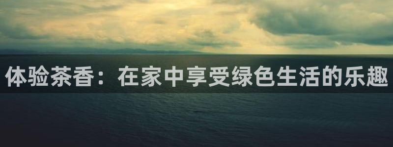 彩名堂旧版本