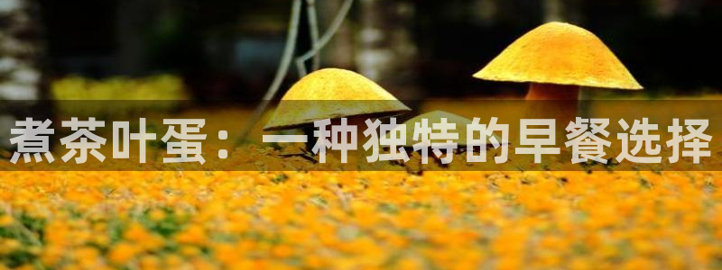 彩名堂app下载5.1.0