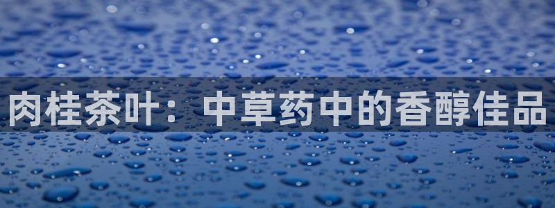 彩名堂手机版官网