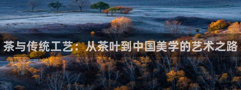 彩名堂app计划官方网站
