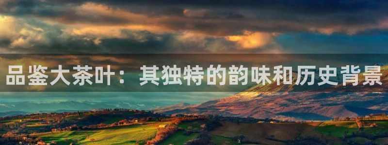 彩名堂安卓客户端官网下载