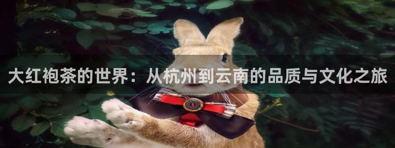 下载彩名堂预测计划软件安卓