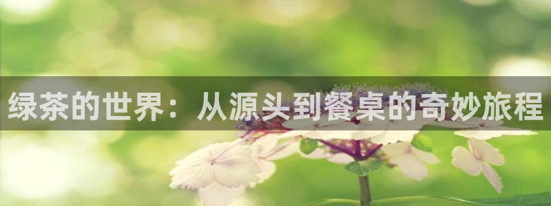 彩名堂官网客户端