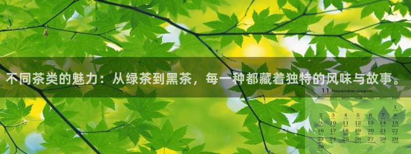 彩名堂免费计划软件下载