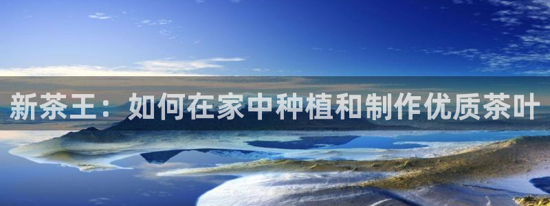 彩名堂免费计划官网购彩计划