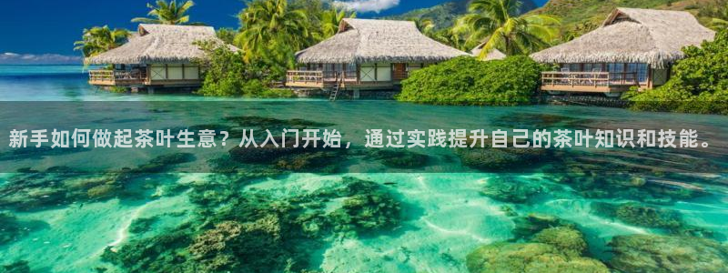 彩名堂不能用了吗