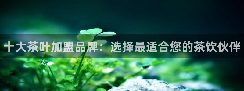 彩名堂怎么买准确率高