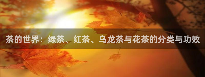 正规彩名堂官网计划01