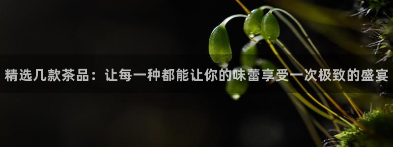 老版彩名堂