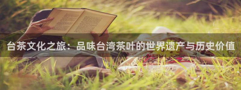 彩名堂5.0计划