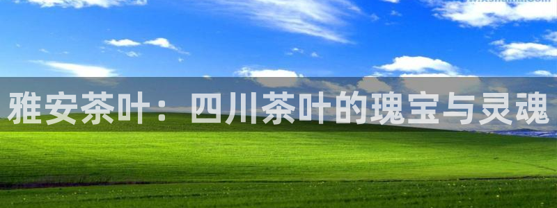 彩名堂计划怎么跟不挂