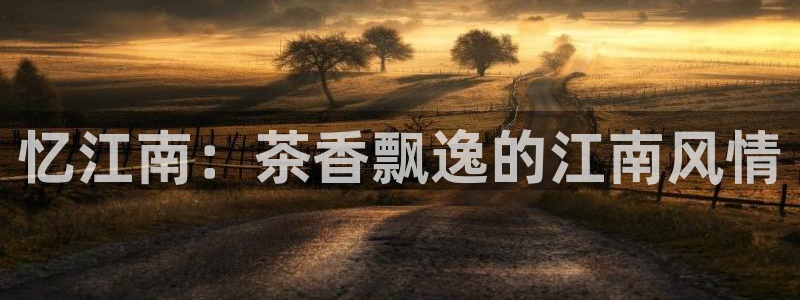 彩名堂预测软件