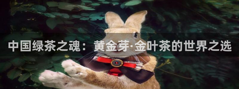 老版本彩名堂计划软件