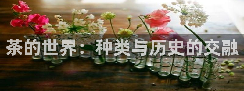 彩名堂5.0计划