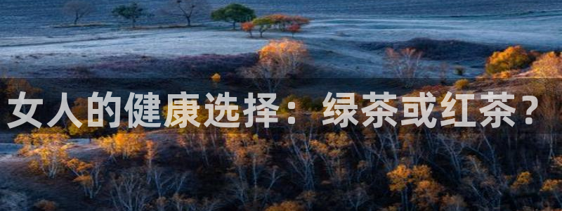 彩名堂官方下载地址