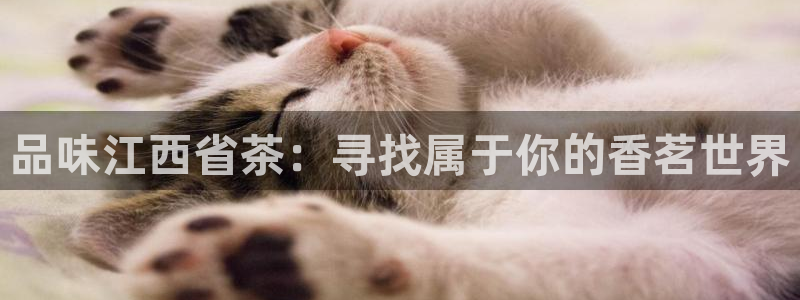彩名堂官网在线计划怎么不更新了