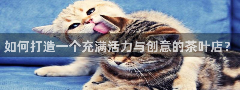 彩名堂app官方下载