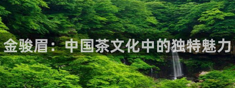 彩名堂排三
