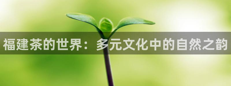 彩名堂计划app新版