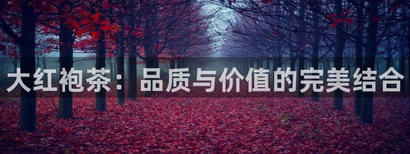 彩名堂免费计划官网5.0.0