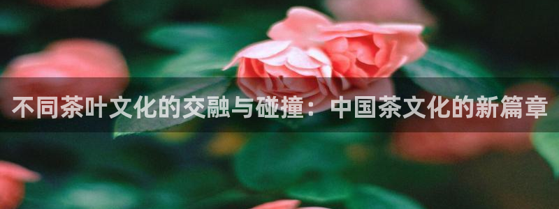彩名堂一直不出结果怎么回事儿