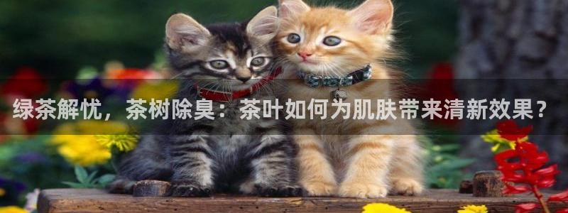彩名堂预测