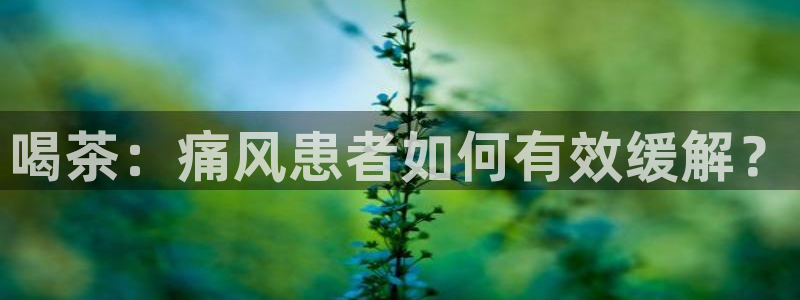 彩名堂不能用了吗