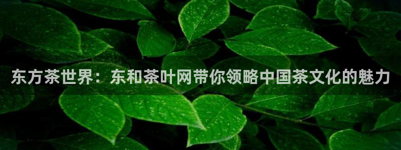 彩名堂5.0