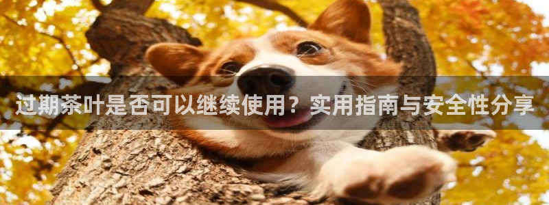 彩名堂预测免费计划