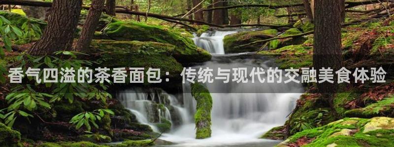 彩名堂客服电话号码